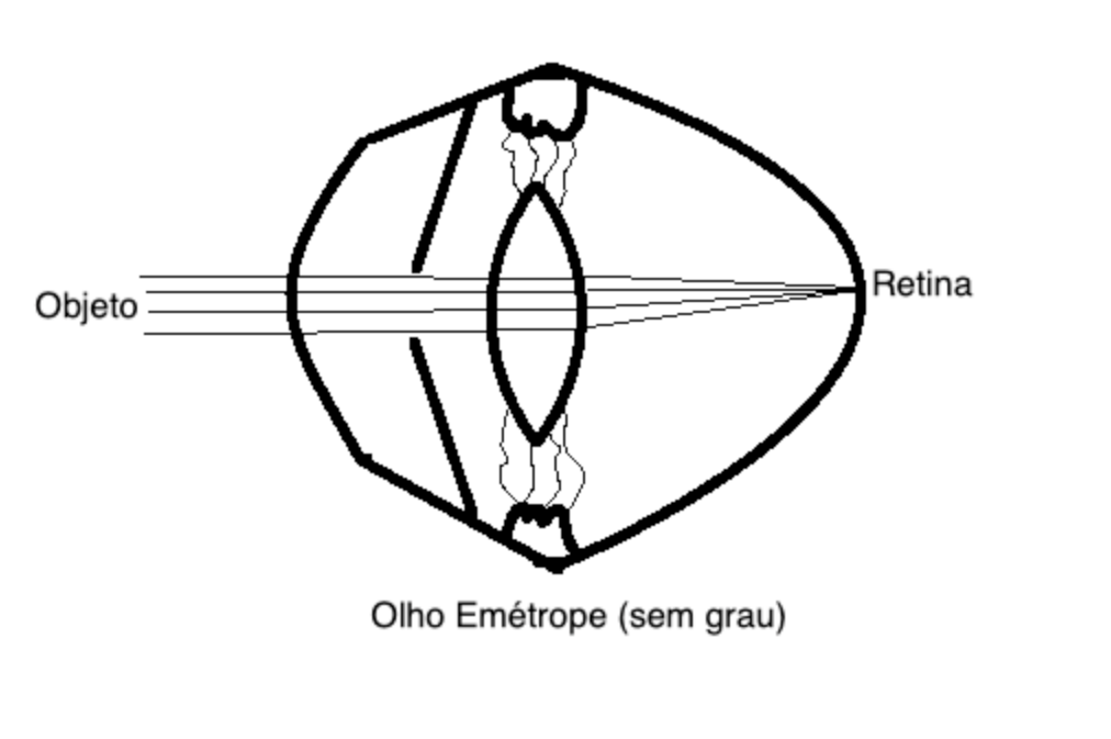 REPRESENTAÇÃO ESQUEMÁTICA DE OLHO EMÉTROPE